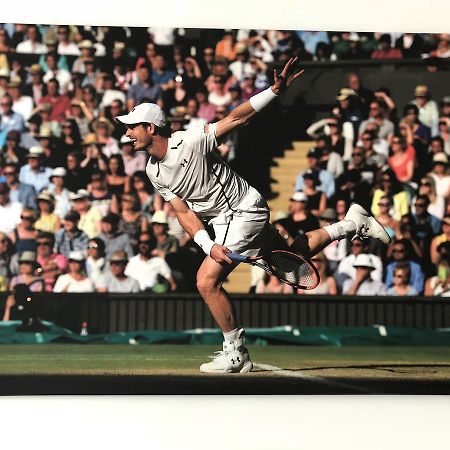 Pension Tennisweber Schwechat Exteriör bild