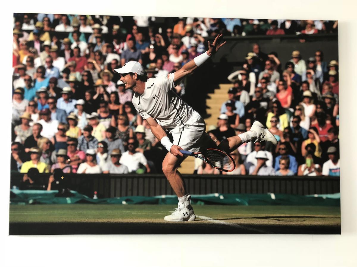 Pension Tennisweber Schwechat Exteriör bild